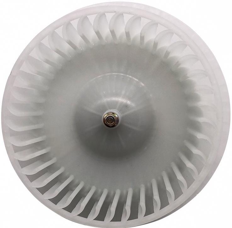 MHT603                                 MK427773                                  
